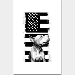 Pitbulls And Stars Posters and Art